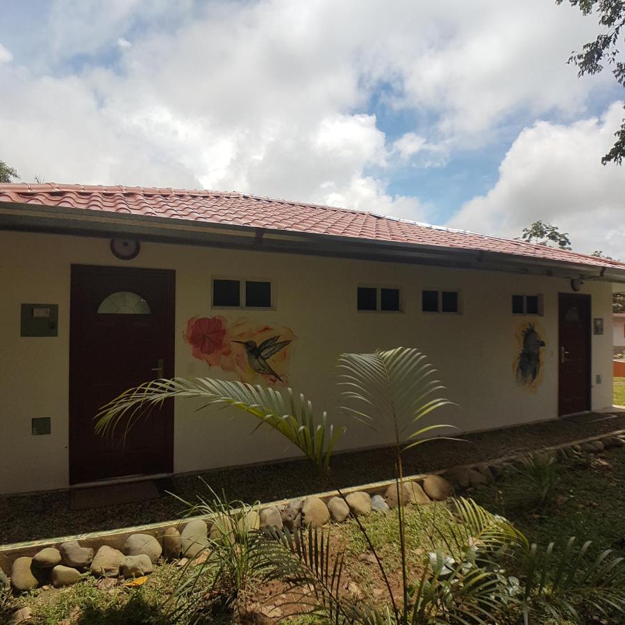 Magic Mountain Lodge Las Lajas  Ngoại thất bức ảnh