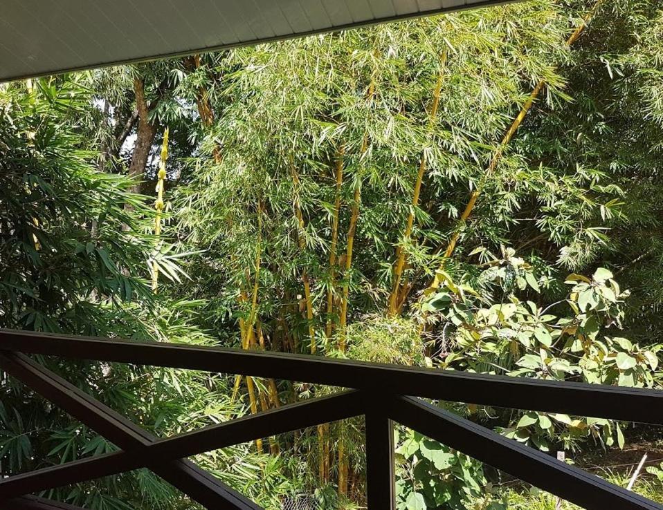 Magic Mountain Lodge Las Lajas  Ngoại thất bức ảnh