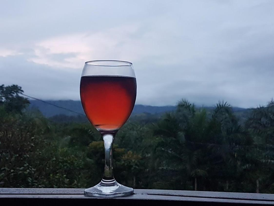 Magic Mountain Lodge Las Lajas  Ngoại thất bức ảnh