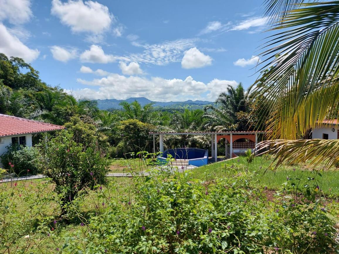 Magic Mountain Lodge Las Lajas  Ngoại thất bức ảnh