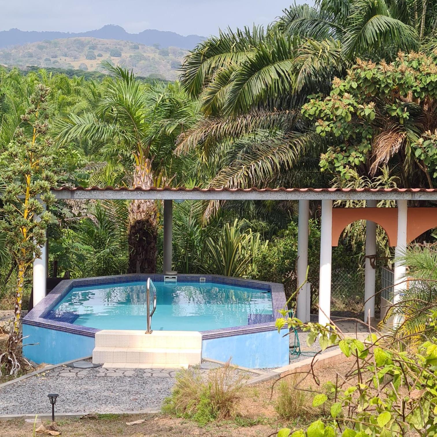 Magic Mountain Lodge Las Lajas  Ngoại thất bức ảnh